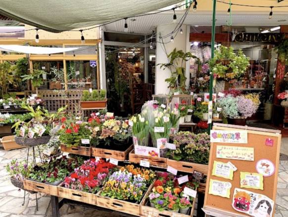 福岡県福岡市中央区の花屋 花のチモト 福岡 にフラワーギフトはお任せください 当店は 安心と信頼の花キューピット加盟店です 花キューピットタウン