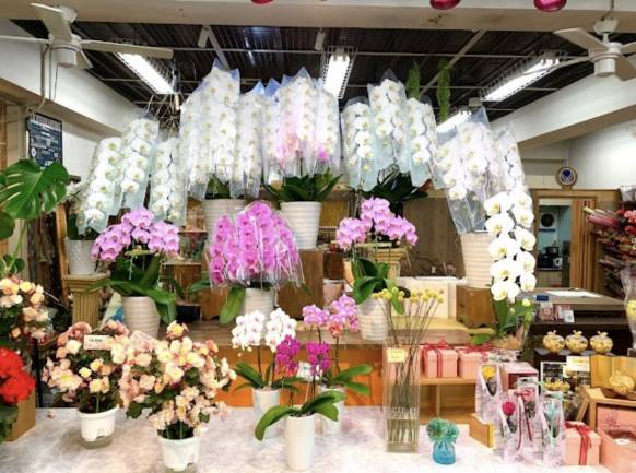 「花のチモト（福岡）」　（福岡県福岡市中央区）の花屋店舗写真2